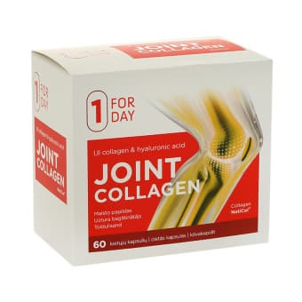 FORDAY JOINT COLLAGEN KAPS N60