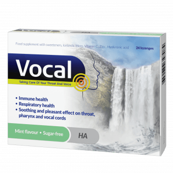 VOCAL MINT HÜALUROONHAPPEGA IMEMISTABLETID N24