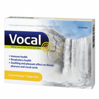 VOCAL SIDRUNIMAITSELISED IMEMISTABLETID N24